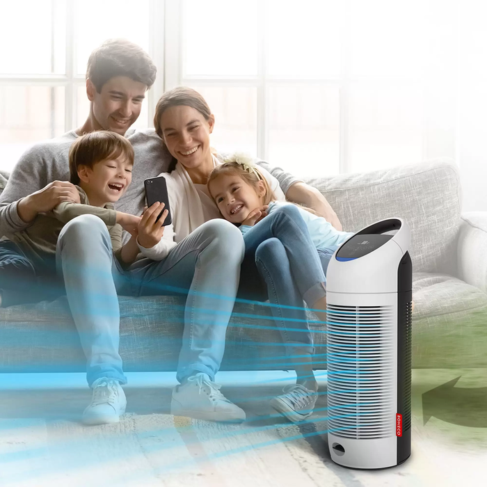 Boneco P300 очиститель воздуха