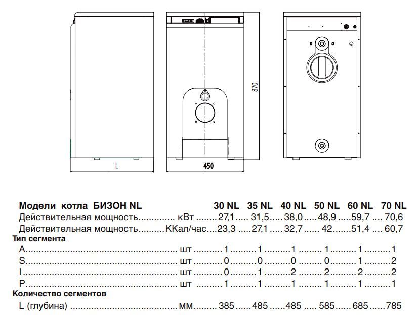 Protherm Бизон 70 NL (0010003945) комбинированный котел