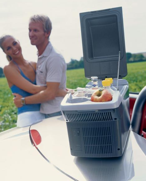 Waeco-Dometic BordBar TB-08 переносной термоэлектрический автомобильный холодильник