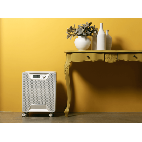 Airgle AG600 очиститель воздуха
