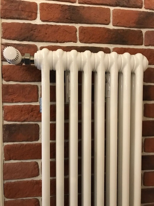 Arbonia 3180/08 № 12 RAL9016 3/4 радиатор отопления