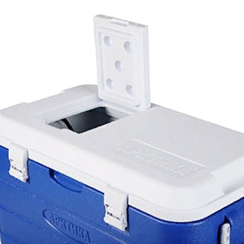 Арктика 2000-60 синий для рыбалки изотермический пластиковый контейнер