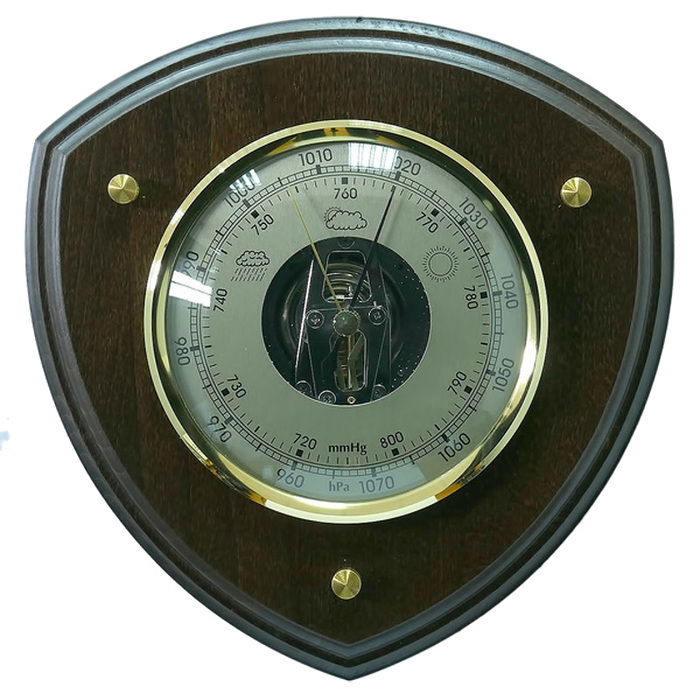 БРИГ БМ91207-О барометр