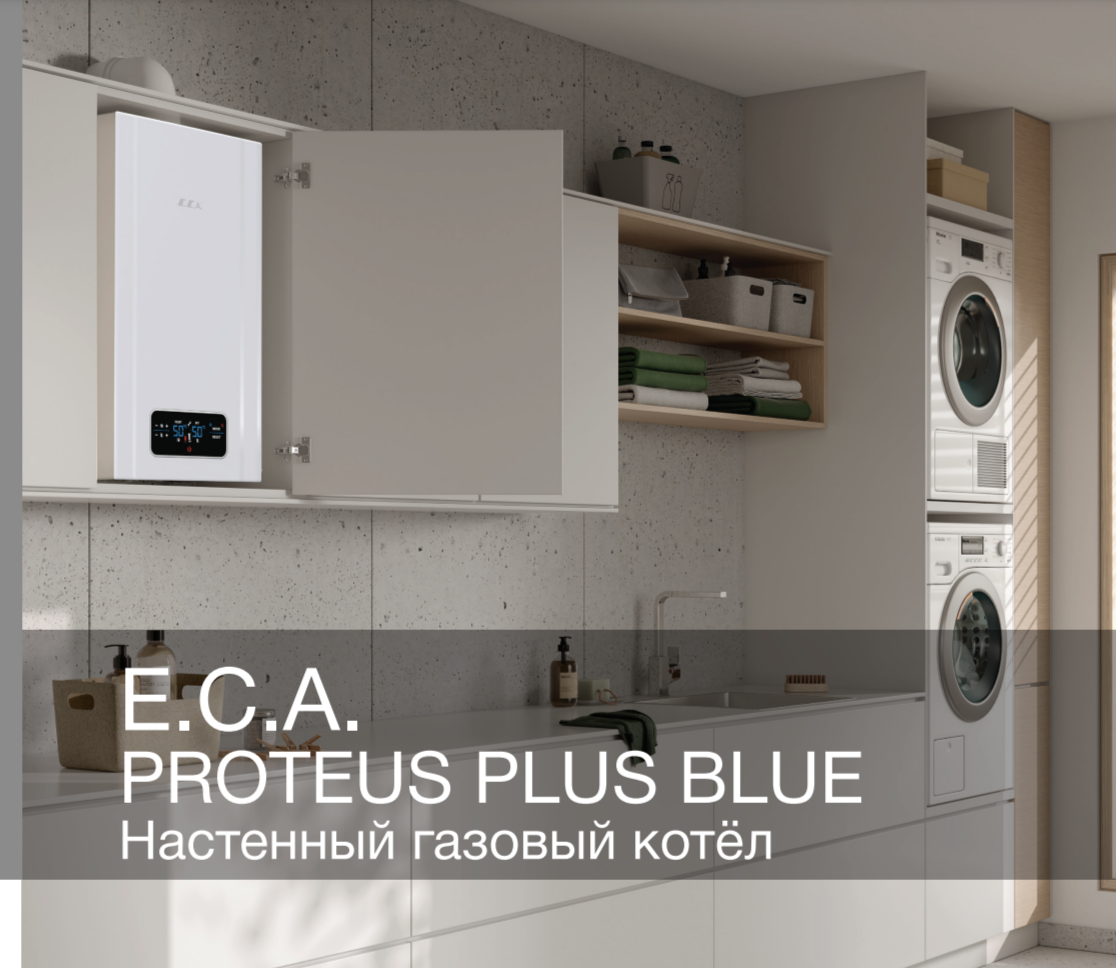 ECA PROTEUS PLUS BLUE 24 HM NG (2000000006673) настенный газовый котел