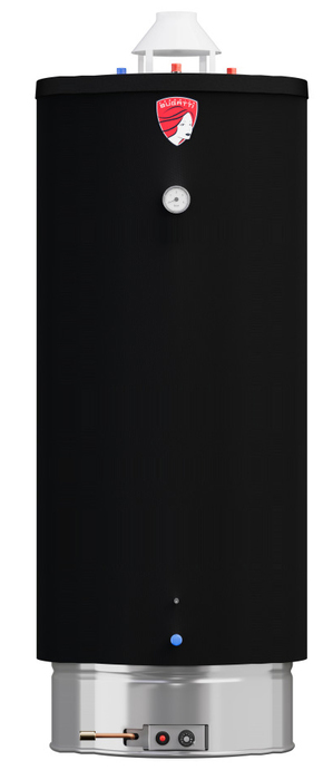 Federica Bugatti INOX WH200 газовый накопительный водонагреватель