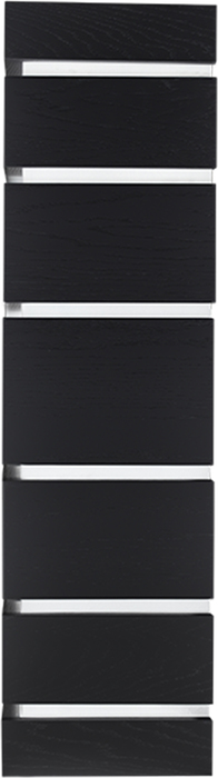 Firelight BFP/P-2520 с порталом Moderno 25 шпон чёрный дуб напольный биокамин