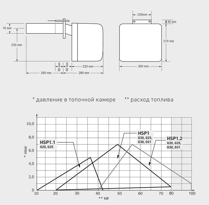 Hansa Motion 18-30 кВт (с горелкой HSР-1) комбинированный котел