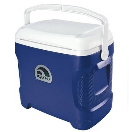 Igloo Contour 30Qt изотермический термоконтейнер