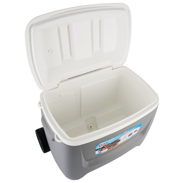 Igloo Island Breeze 60 Roller gray термоконтейнер