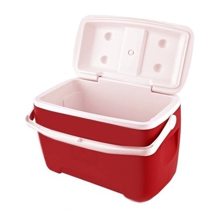 Igloo Island Breeze 9 red пластик термоэлектрический автохолодильник