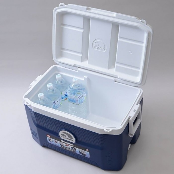 Igloo Quantum 55 для пищи современный изометрический контейнер