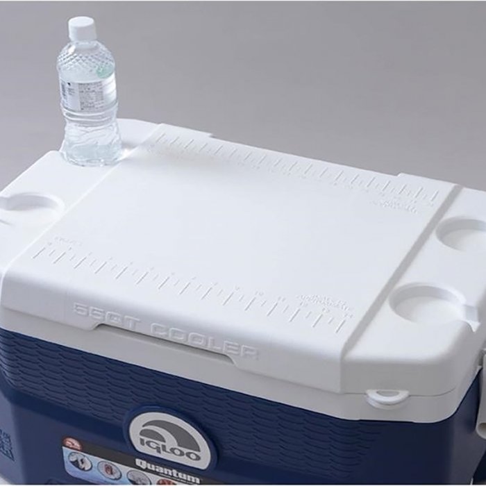 Igloo Quantum 55 для пищи современный изометрический контейнер