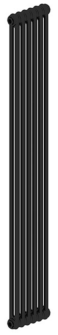 IRSAP TESI 21800/06 Т30 cod.10 (RAL9005 черный) (RR218000610A430N01) радиатор отопления