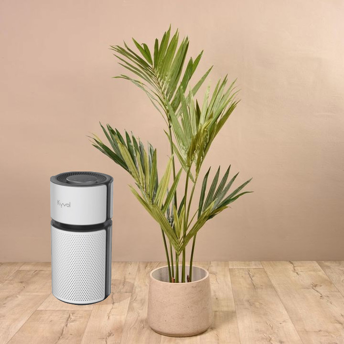 Kyvol Vigoair P5 Air Purifier EA320 Белый с Wi-Fi очиститель воздуха