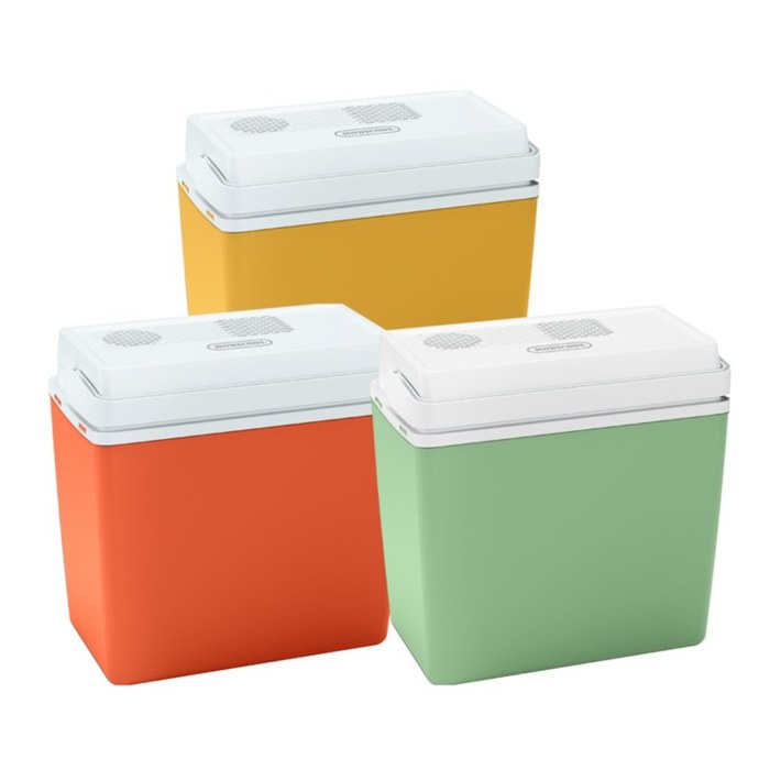 Mobicool Mirabelle MM24 термоэлектрический автохолодильник