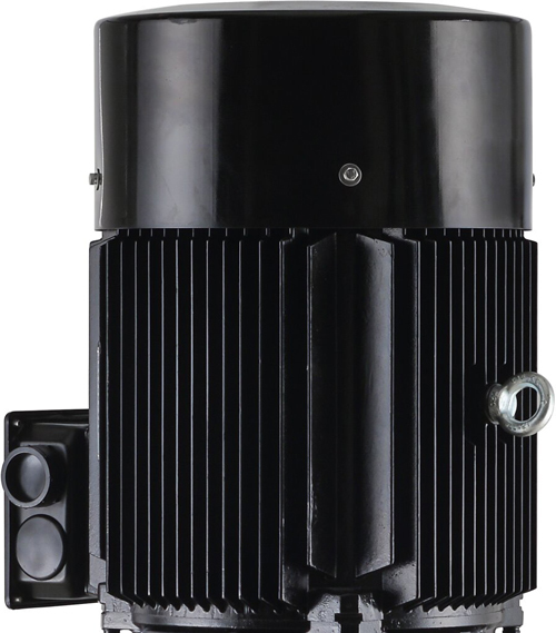 ONIS INL 125-160-48-37/4 (380В, 37кВт) циркуляционный насос