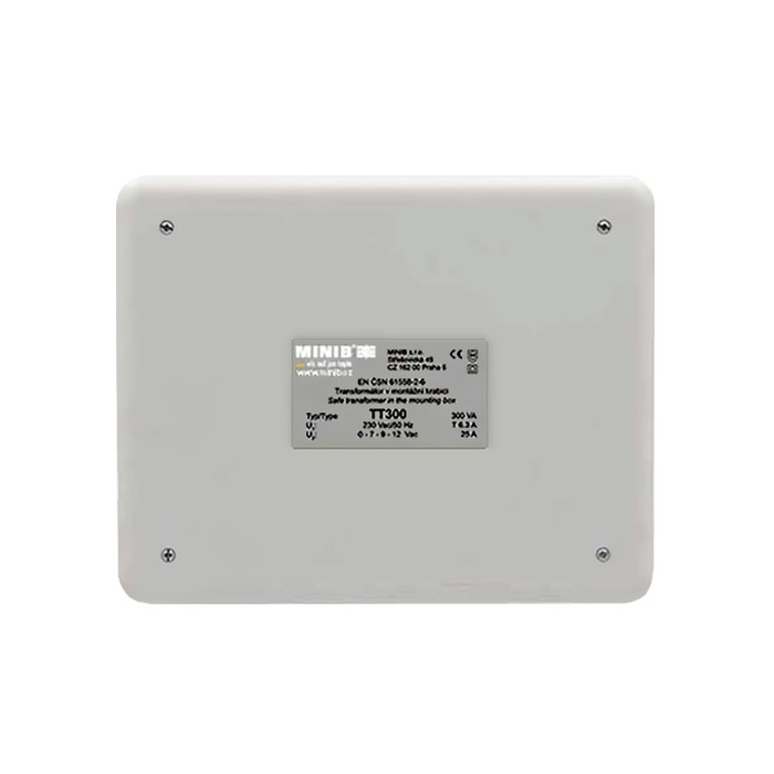 Minib TT300 трансформатор