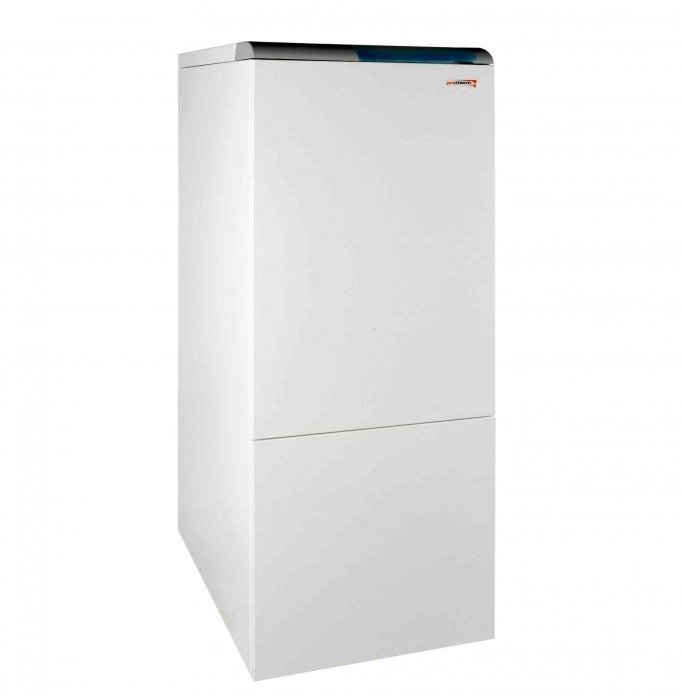 Protherm Медведь 50 KLZ (0010005751) напольный газовый котел