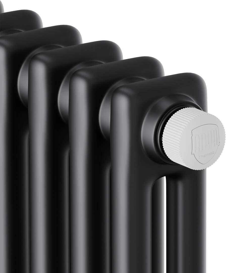 Royal Thermo Insignia VC2180 - 12 секц. Anthracite радиатор отопления