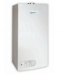 WERTRUS ECO 16FF (Wert Rus) настенный газовый котел